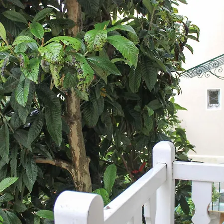 Charming Duplex With Balcony In The 16th Apartment *